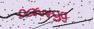 Captcha認証コード